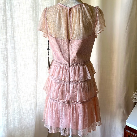 NWT Adrianna Papell Chantilly lace dress, sz 8 - Picture 10 of 14